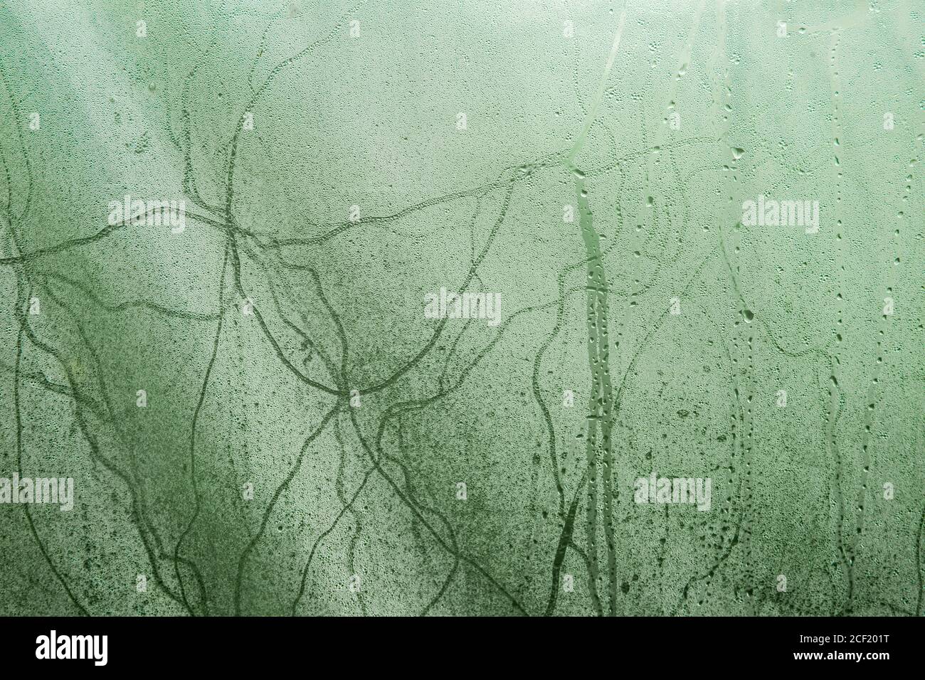 Art tone abstract pattern light green nature texture background Stock Photo