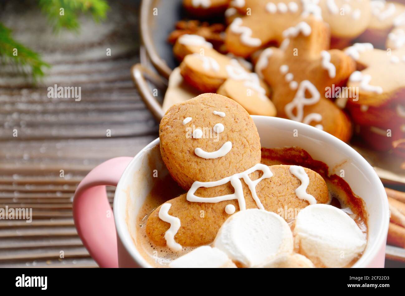 Pink mug with hot chocolate marshmallows and gingerbread man closeup. Stock Photo
