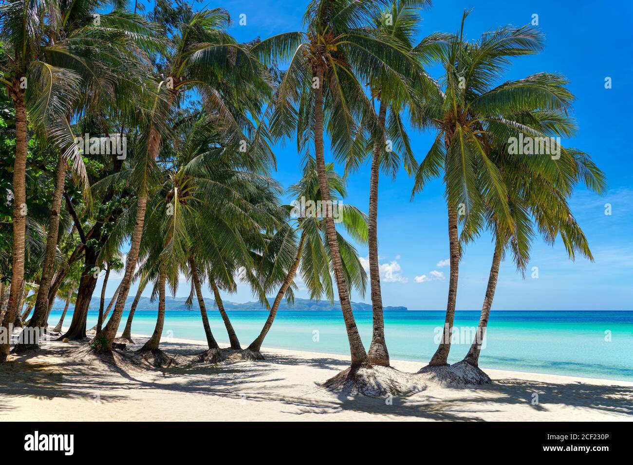 Empty clean paradise White Beach of Boracay Island with many coconut trees at a sunny day with blue sky, Aklan, Visayas, Philippines, Stock Photo