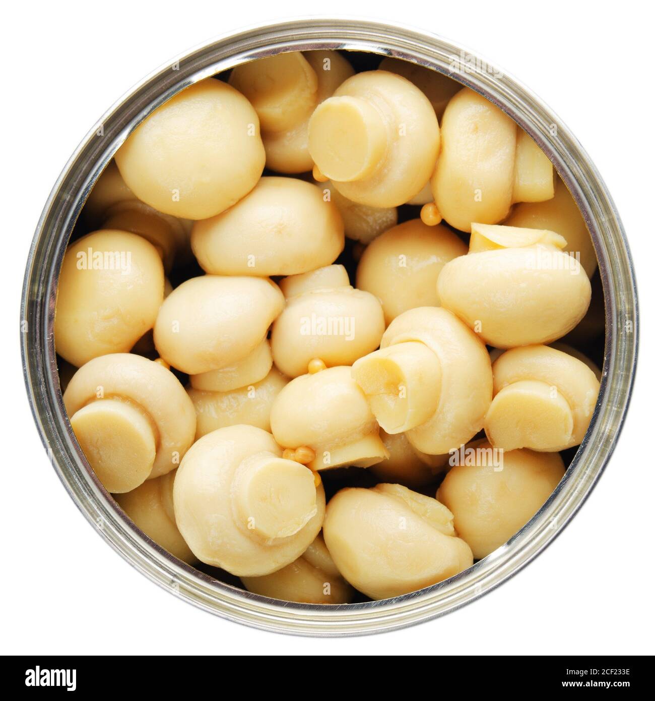 flat-lay-view-at-opened-tin-can-with-button-mushrooms-isolated-on-white-background-2CF233E.jpg