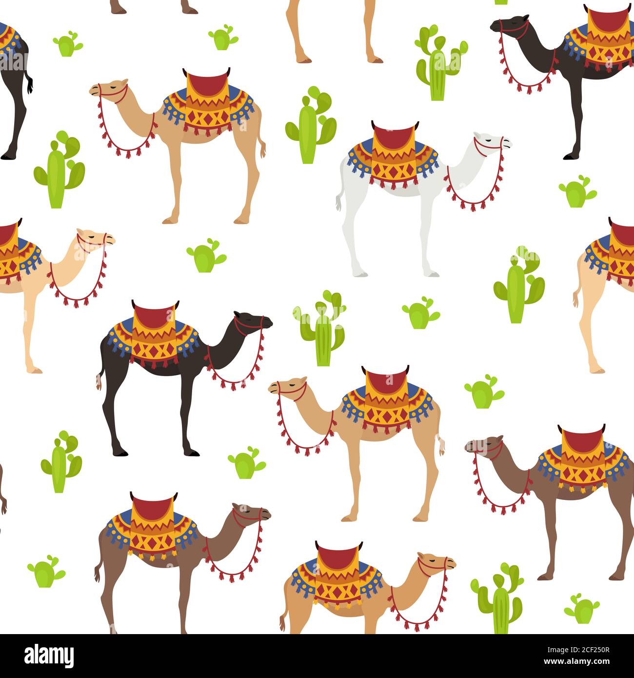 Camelids family collection. Dromedary camel seamless design. Vector illustration Stock Vector