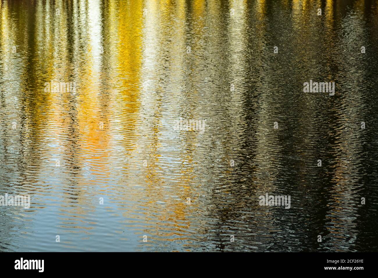 Reflection of trees on the surface of the water Stock Photo - Alamy
