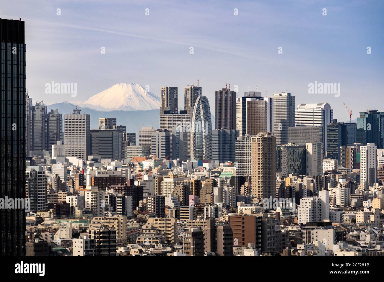 Mountain Fuji with Tokyo skylines and skyscrapers buildings in Shinjuku ward in Tokyo. Taken from Tokyo Bunkyo civic center observatory sky desk. Stock Photo