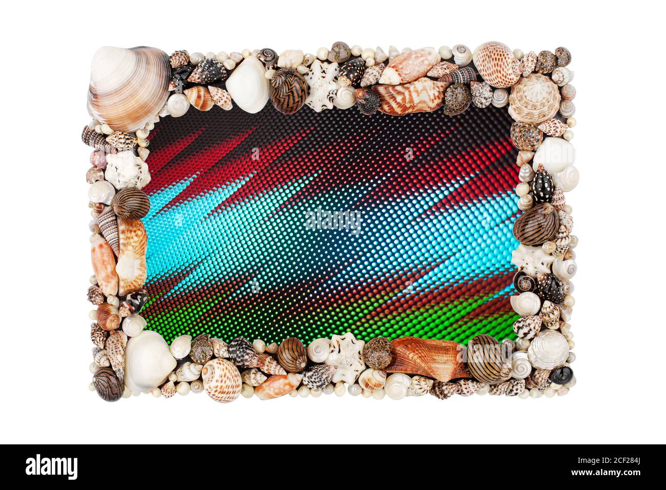 Abstract seashells digital picture frame broken screen white background