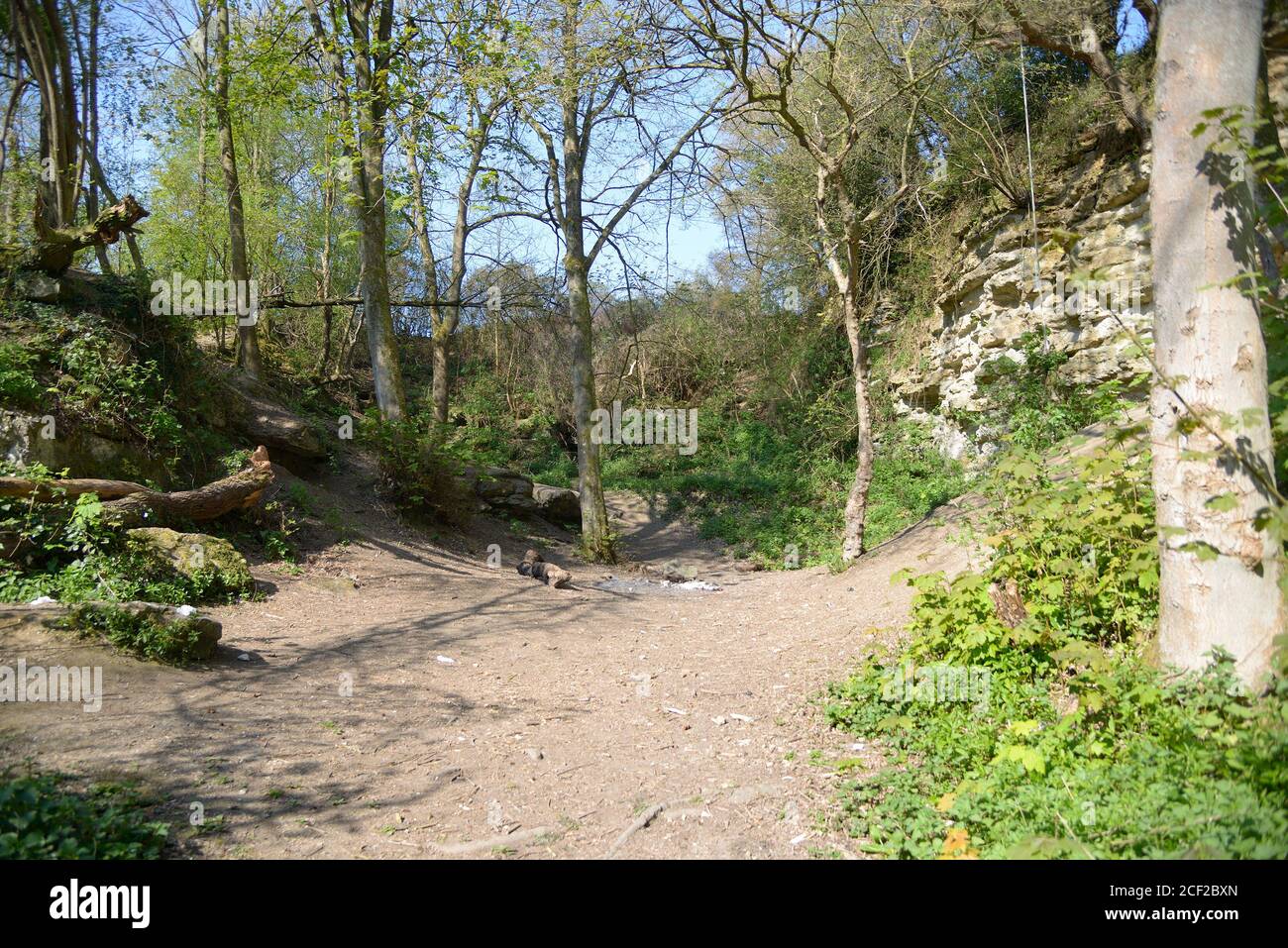 Woodland walk through a longdisused quarry. Boughton Monchelsea