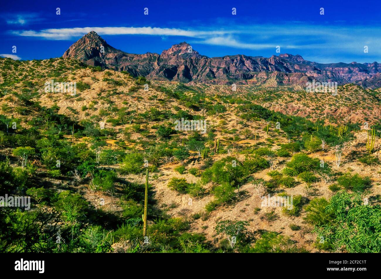 Sierra de giganta hires stock photography and images Alamy