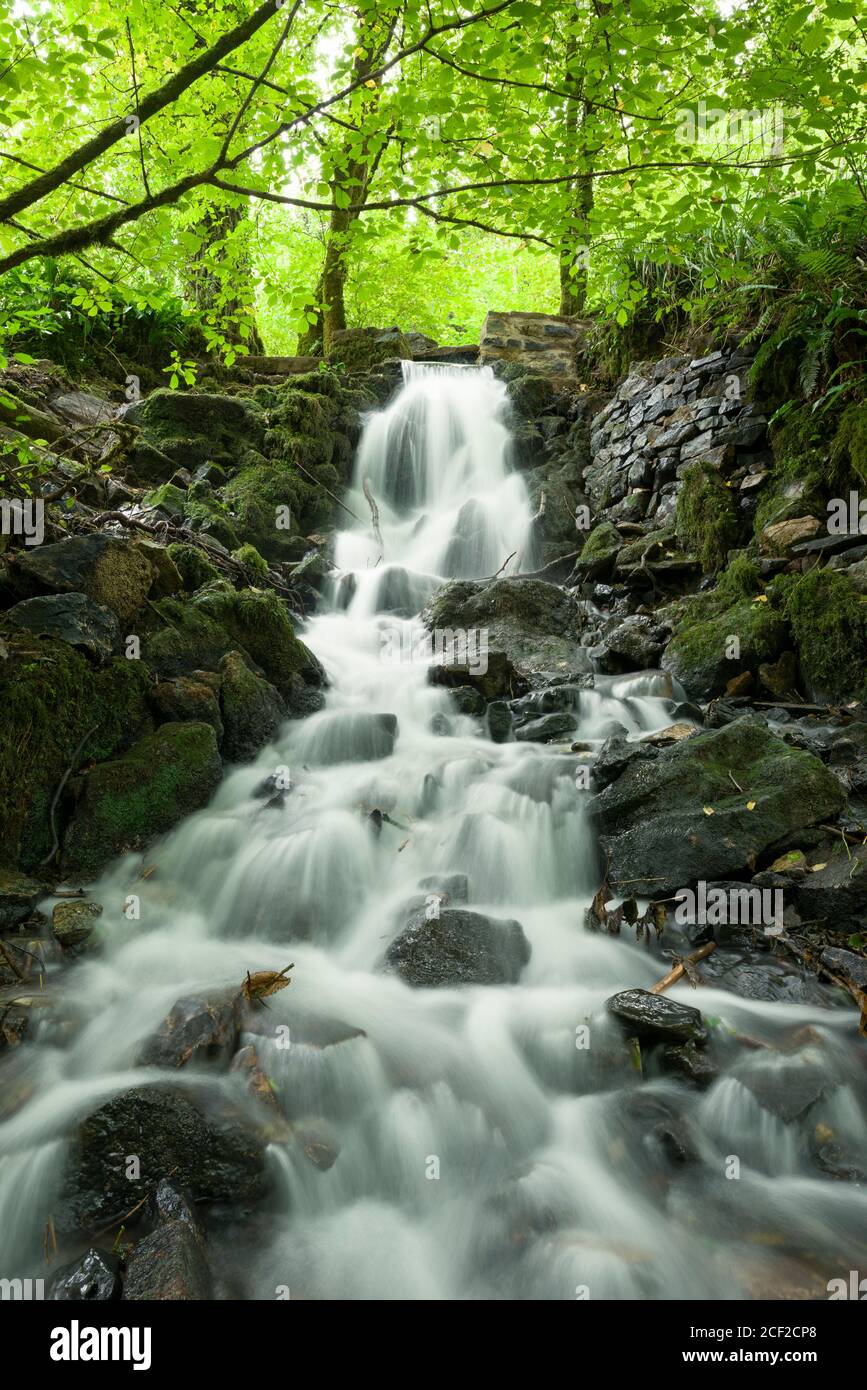 A waterfall flowing into the Mells River from the old leat, a remnant
