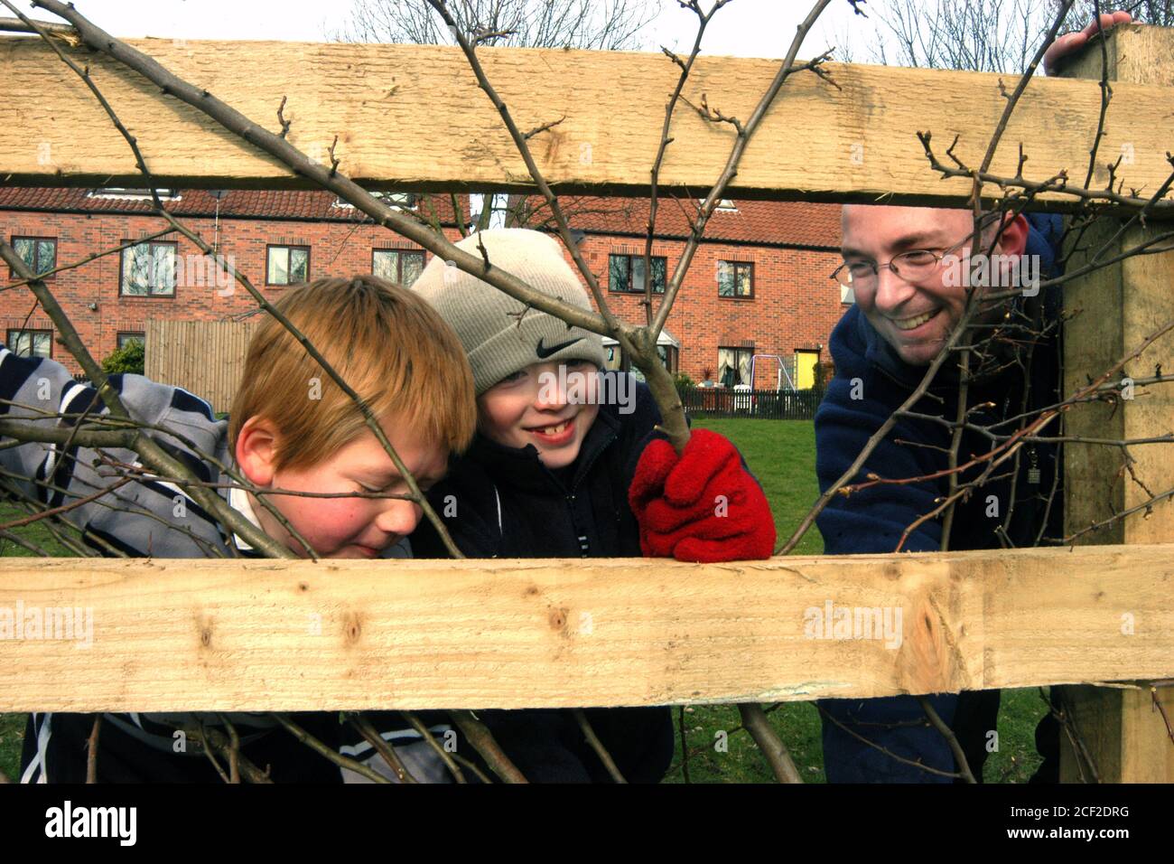 Children planting trees uk hi-res stock photography and images - Alamy