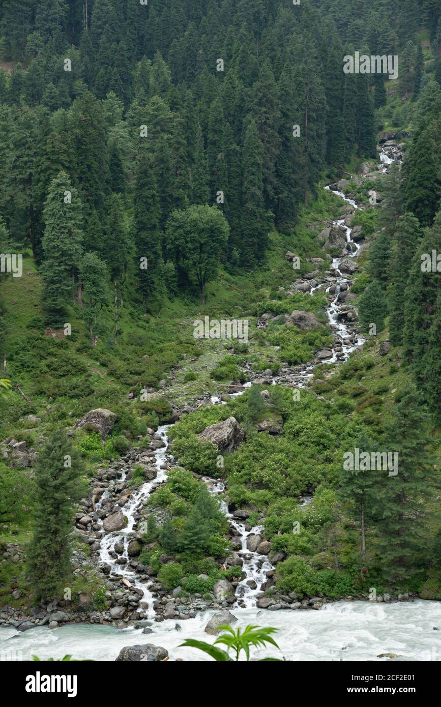 Stream meeting in the river at Aru valley , Anantnag District of Jammu and Kashmir, India Stock Photo