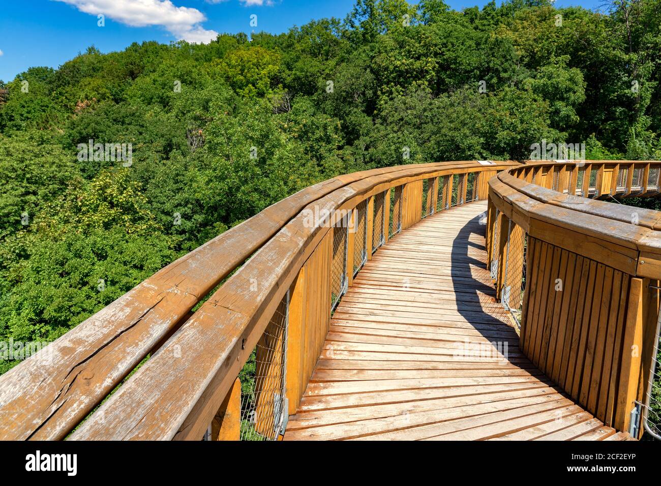 adventure over the woods wooden tree crown path way trail over the forest Stock Photo