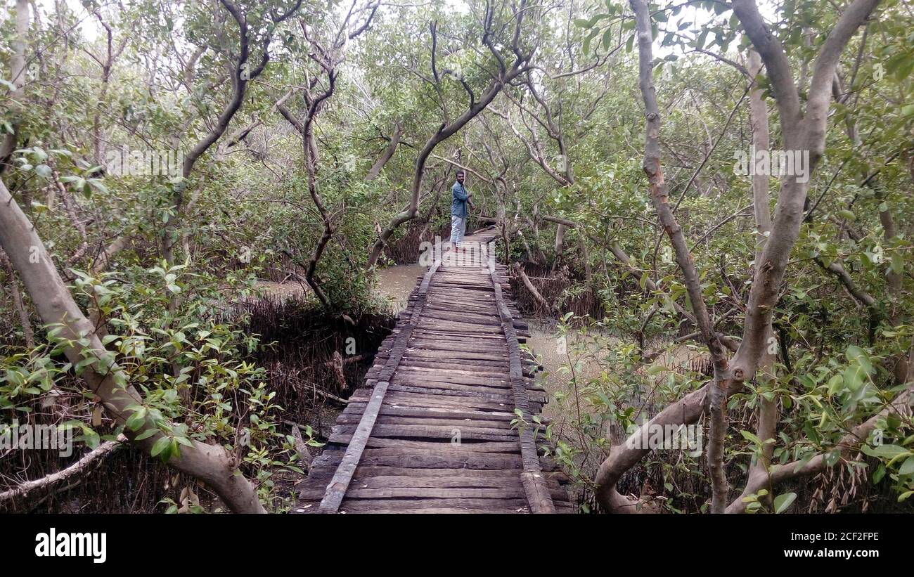 Man standing alone in woods hi-res stock photography and images - Alamy
