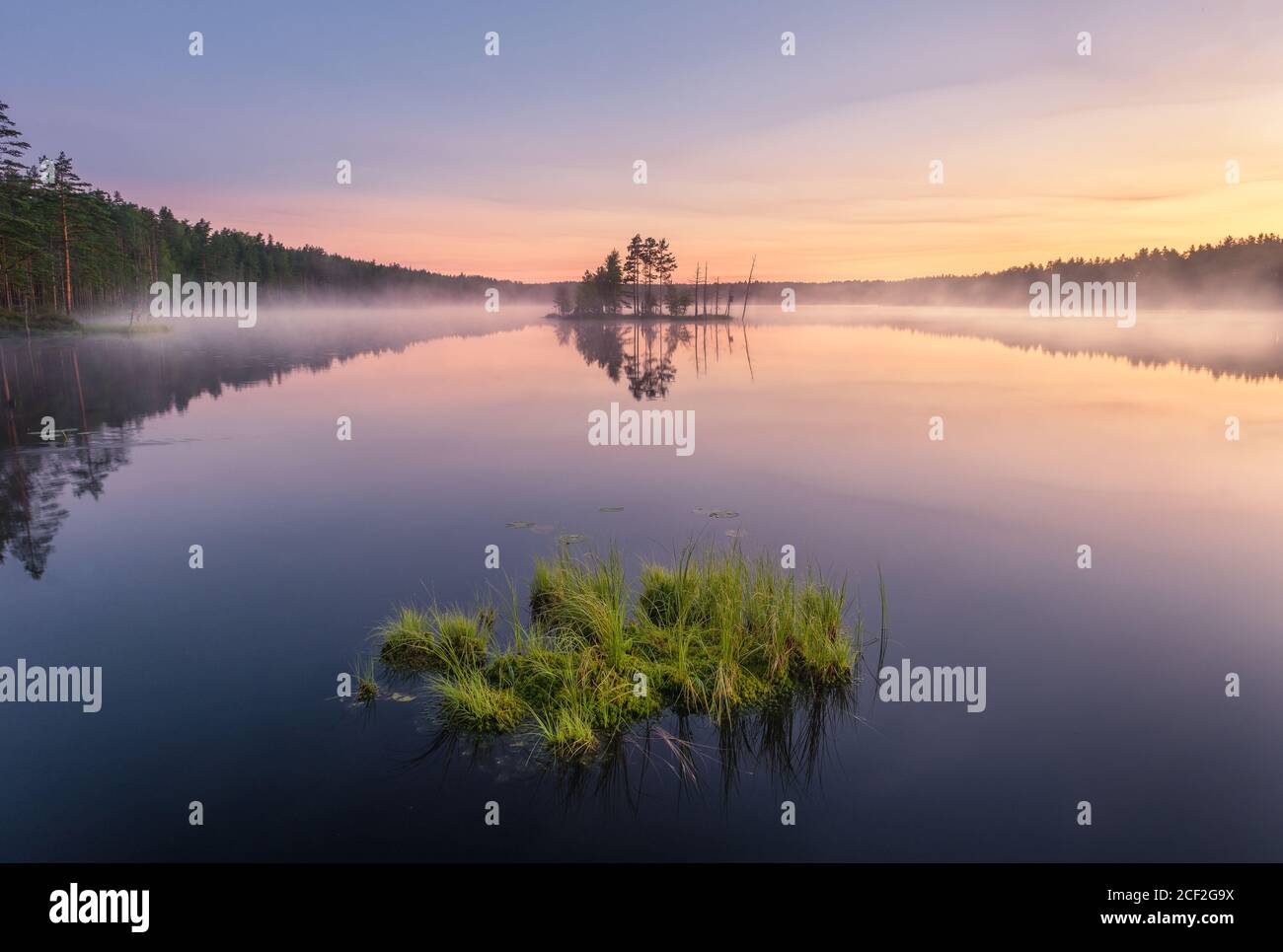 Scenic nature landscape with mood fog and beautiful sunrise at early summer morning in lakeside Finland Stock Photo
