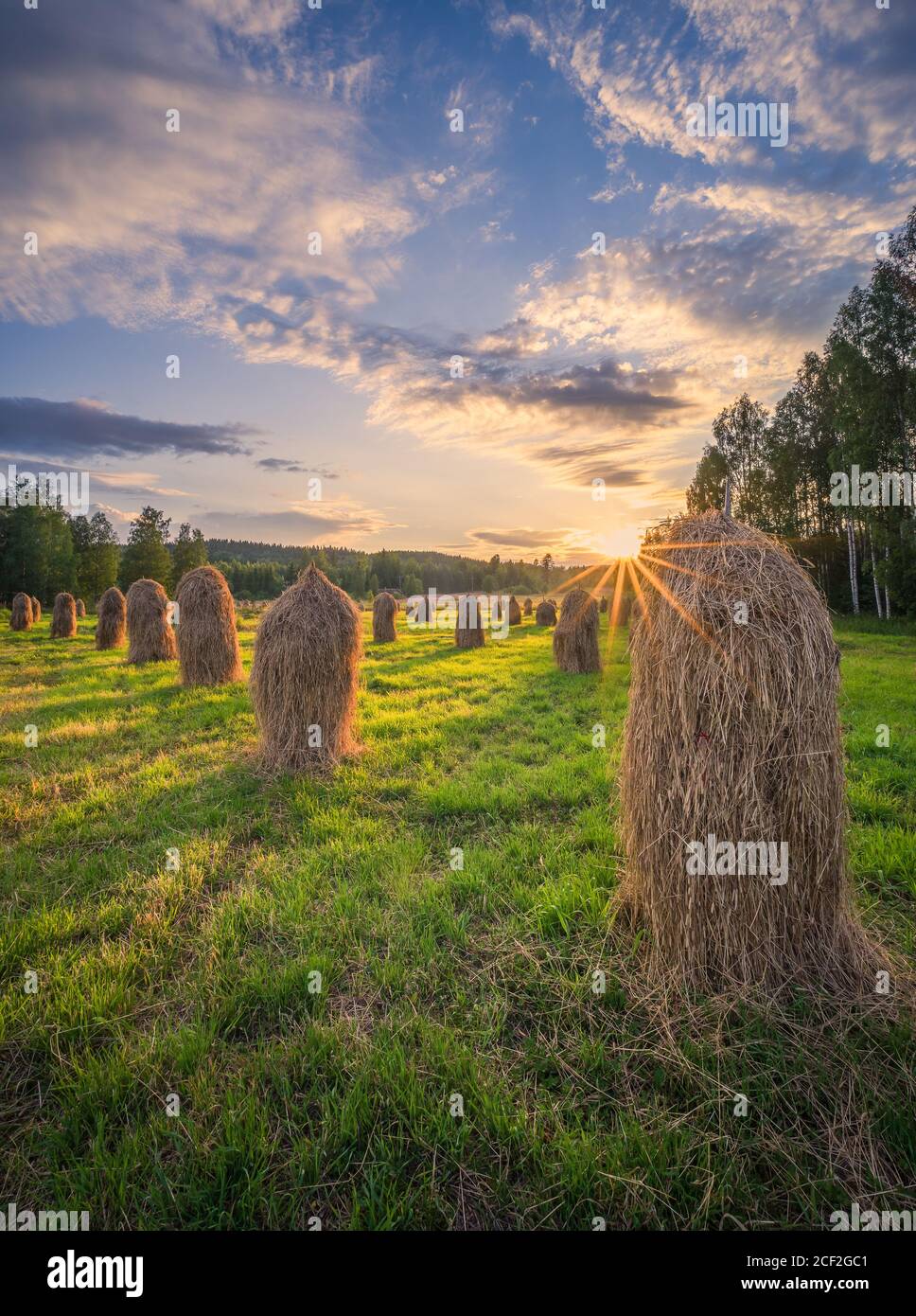 Old-fashioned style haystacks with beautiful golden sunset and sunlight at warm summer evening in Finland Stock Photo