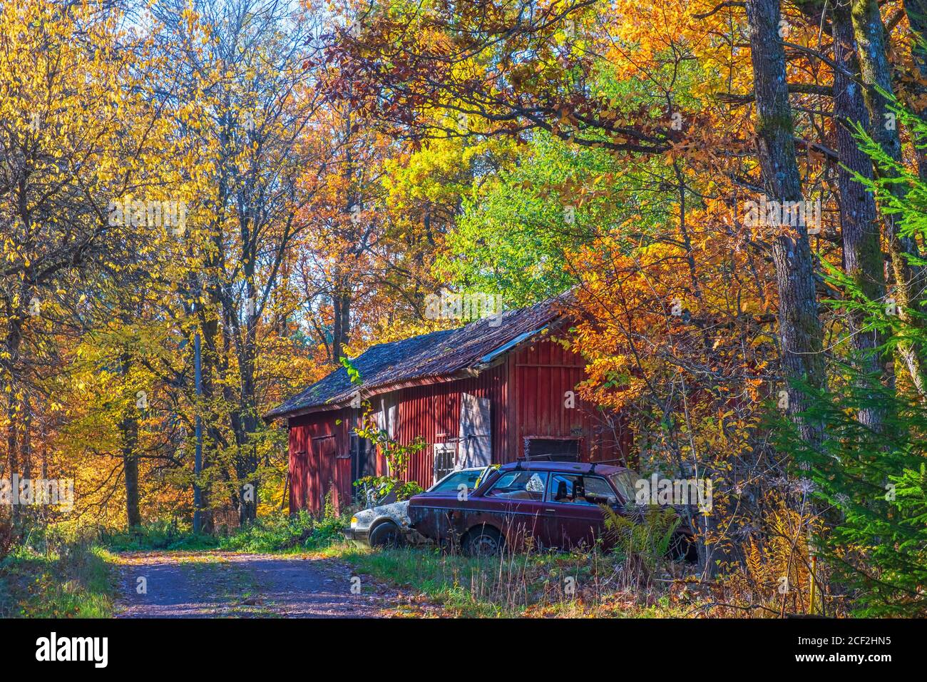 Scrap cars woods hi-res stock photography and images - Alamy