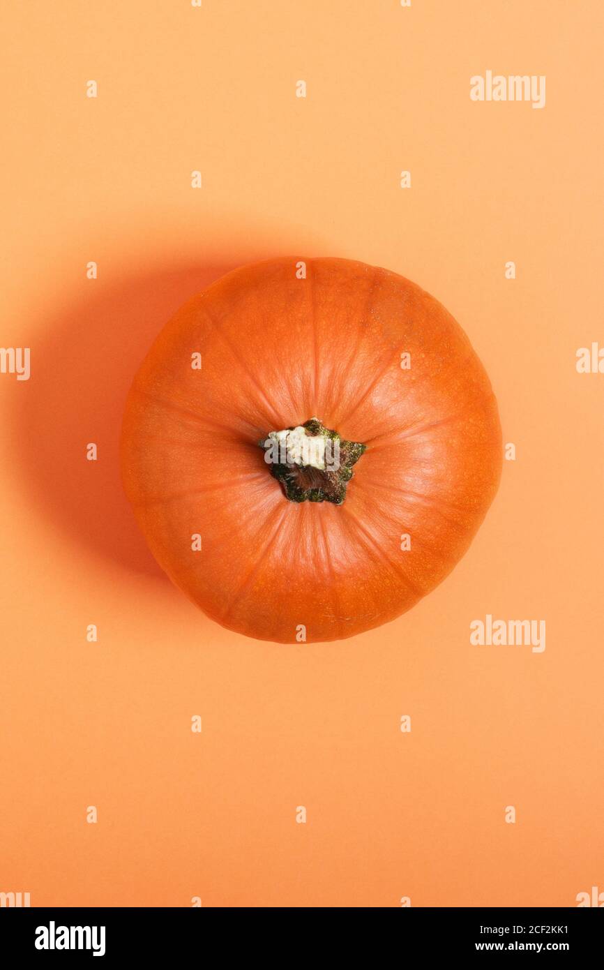 Pumpkin top view on orange background. Thanksgiving day or halloween time. Vertical orientation. Stock Photo