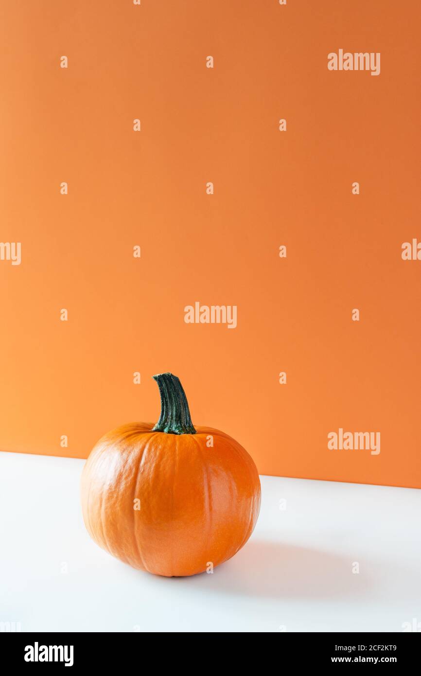 Pumpkin on white table over orange background. Thanksgiving day or halloween time.  Minimalism, vertical orientation. Stock Photo