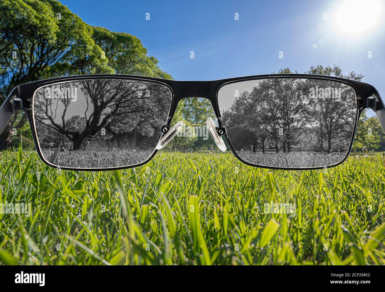 Looking through glasses to bleach nature landscape. Color blindness ...