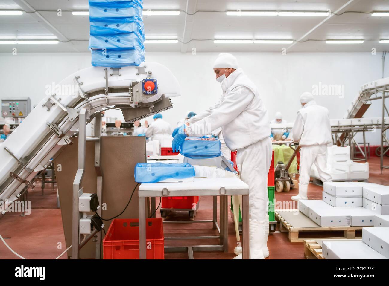 Industrial equipment at a meat factory. Meat processing plant. Meat equipment. Production line with packaging and cutting of meat Photo - Alamy