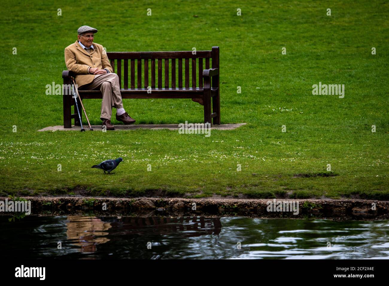 An elderly man takes a rest on a bench by a pond at Chiswick House and Gardens Stock Photo