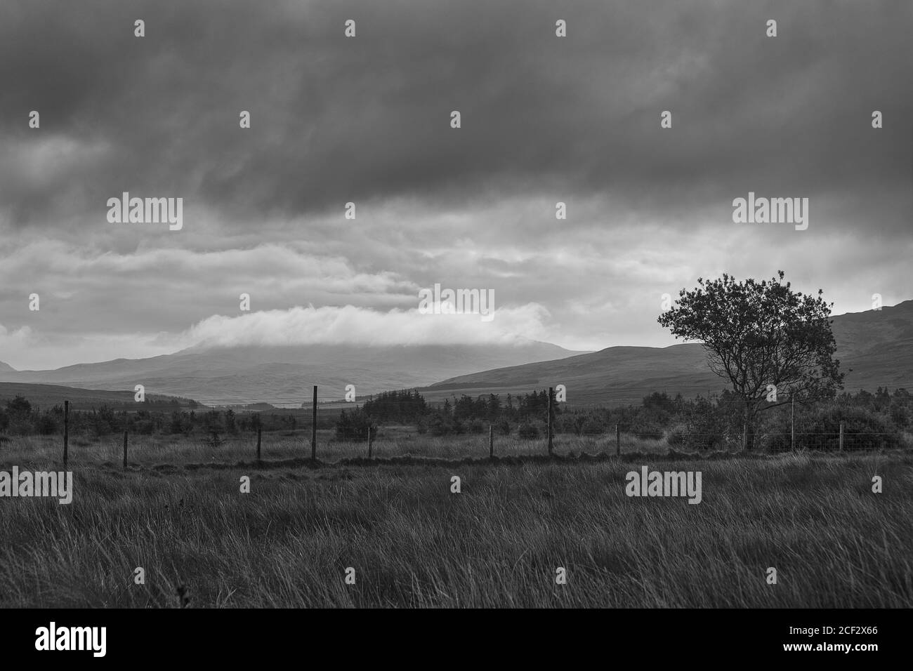 mornig mist over fields Islay Scotland Stock Photo