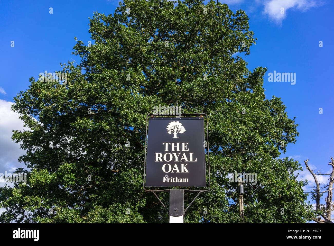 Pub sign in front of a large oak tree at the Royal Oak pub in Fritham