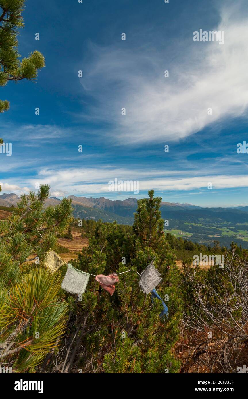 View down into the valley of Mariapfarr, over mountain pines (pinus mugo). Prayer flags hang in the branches. The blue sky is cloudy. Stock Photo