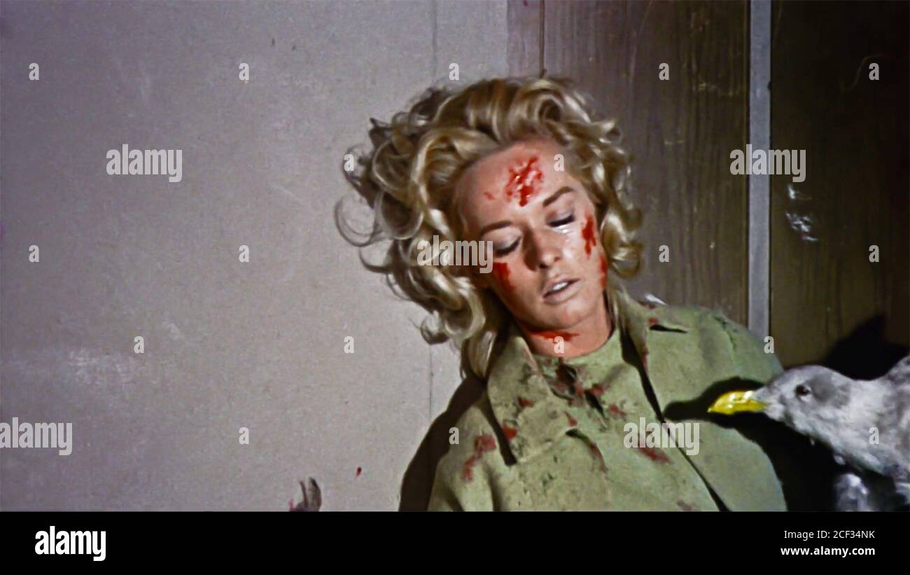 USA. Tippi Hedren in a scene from the ©Universal Pictures movie: The Birds  (1963). PLOT: A wealthy San Francisco socialite pursues a potential  boyfriend to a small Northern California town that slowly