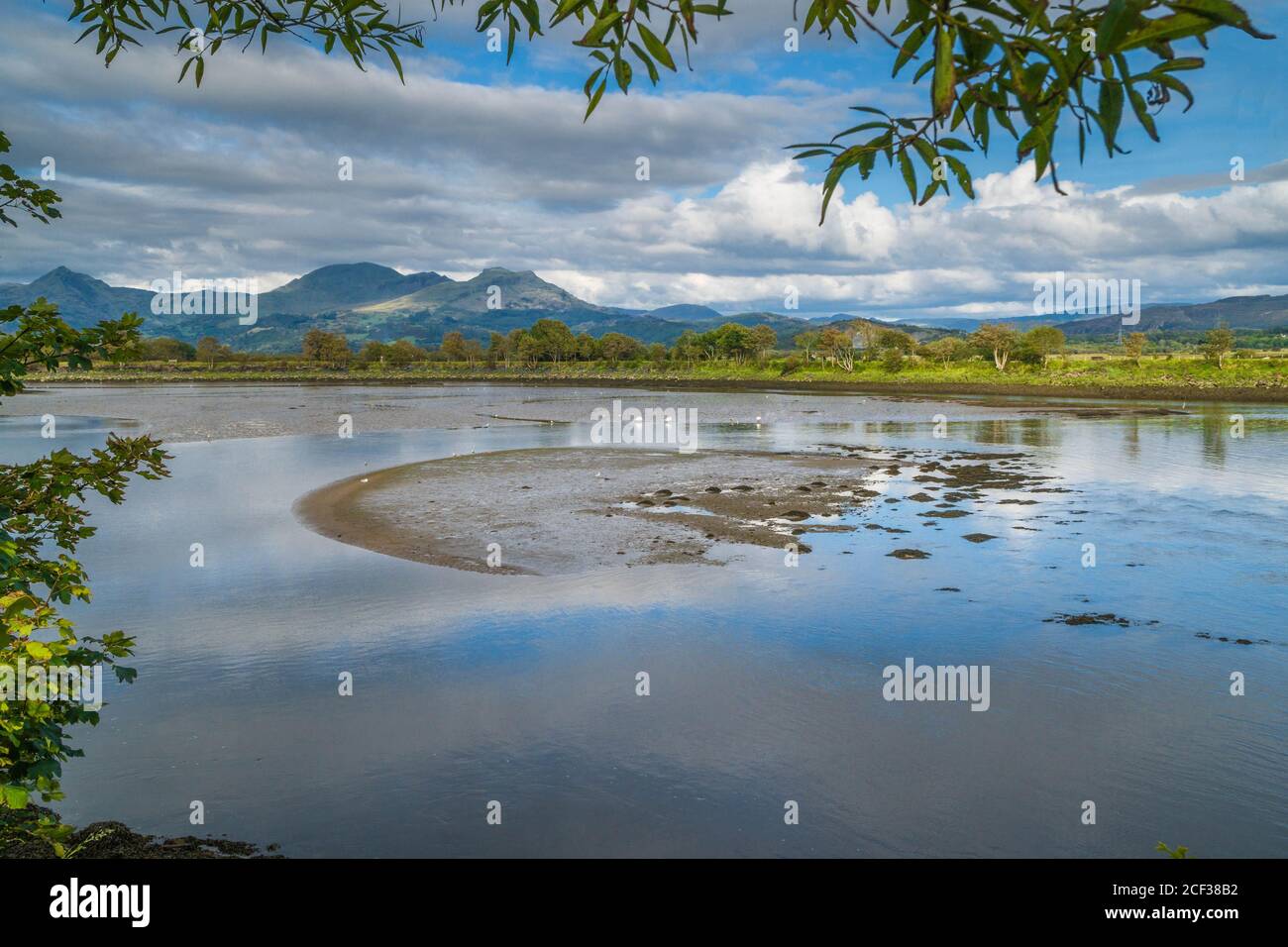 View across Glaslyn Marshes towards the Moelwyn Mountains, Porthmadog North Wales UK. August 2020 Stock Photo