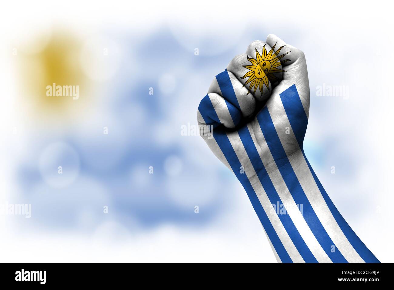 Flag of Uruguay painted on male fist, strength,power,concept of conflict. On a blurred background. Stock Photo