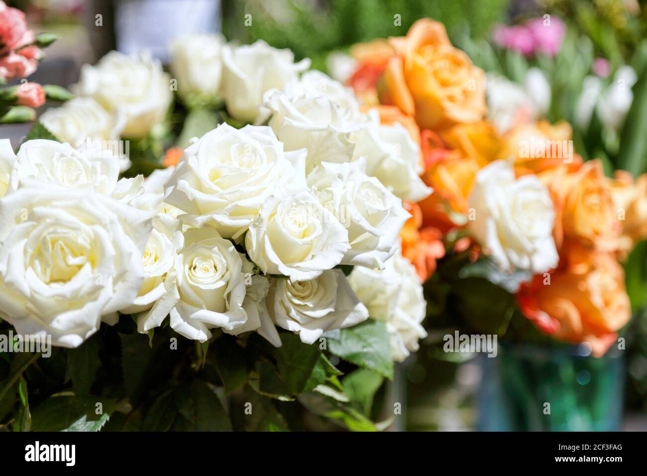 Beautiful roses bouquet present hi-res stock photography and images - Alamy