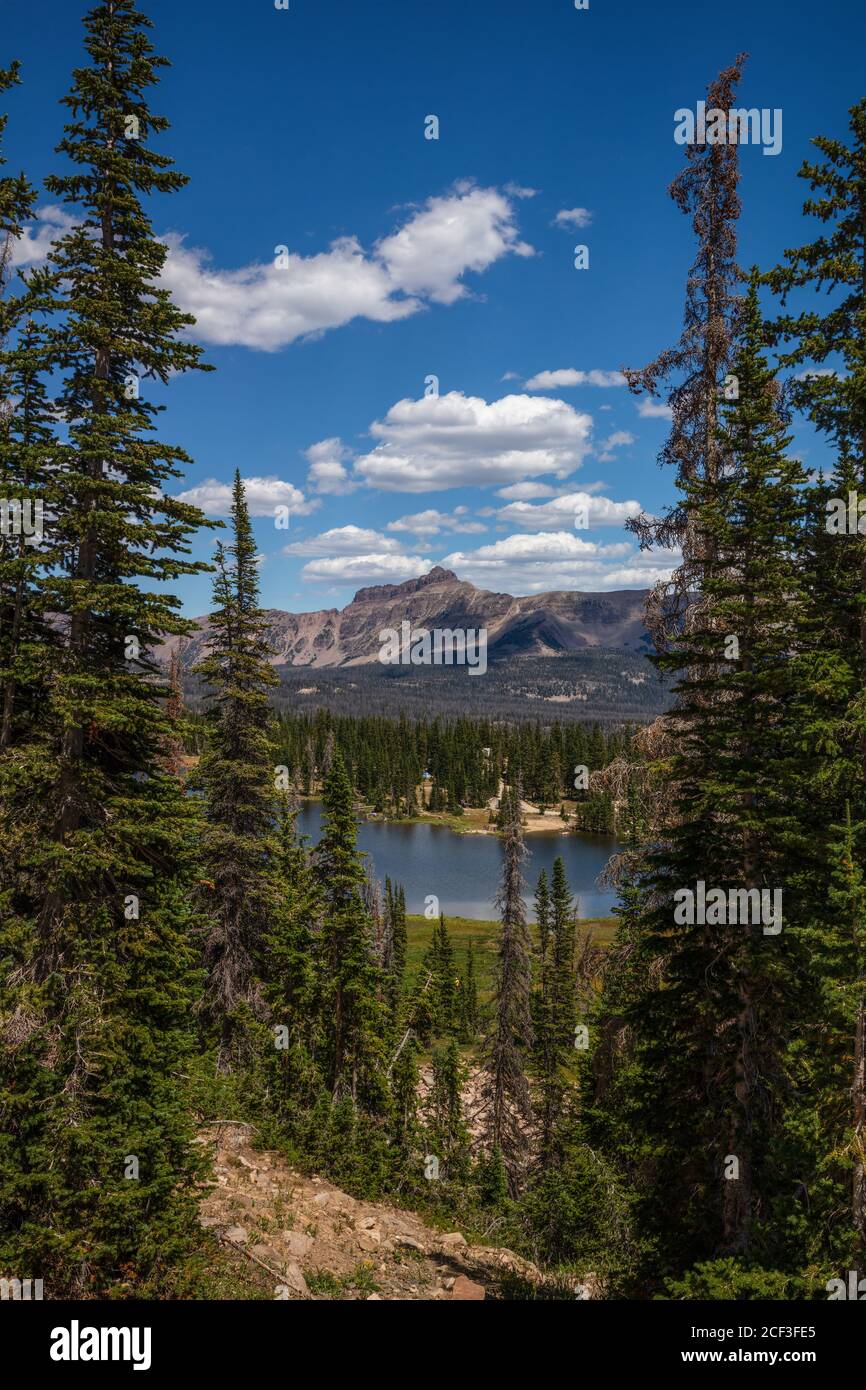 Uinta mountains summit county hires stock photography and images Alamy