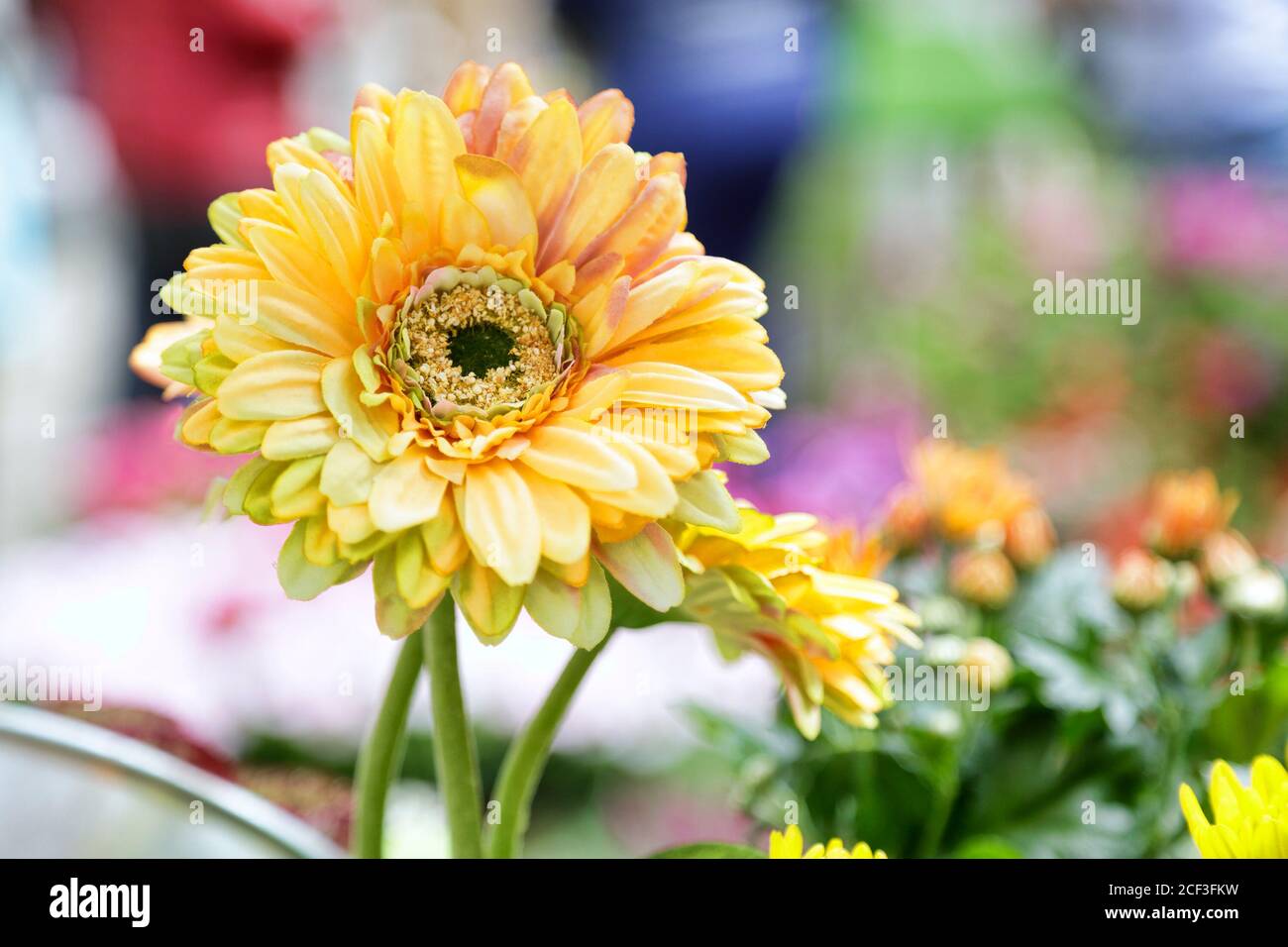 Artificial yellow daisies for sale Stock Photo Alamy
