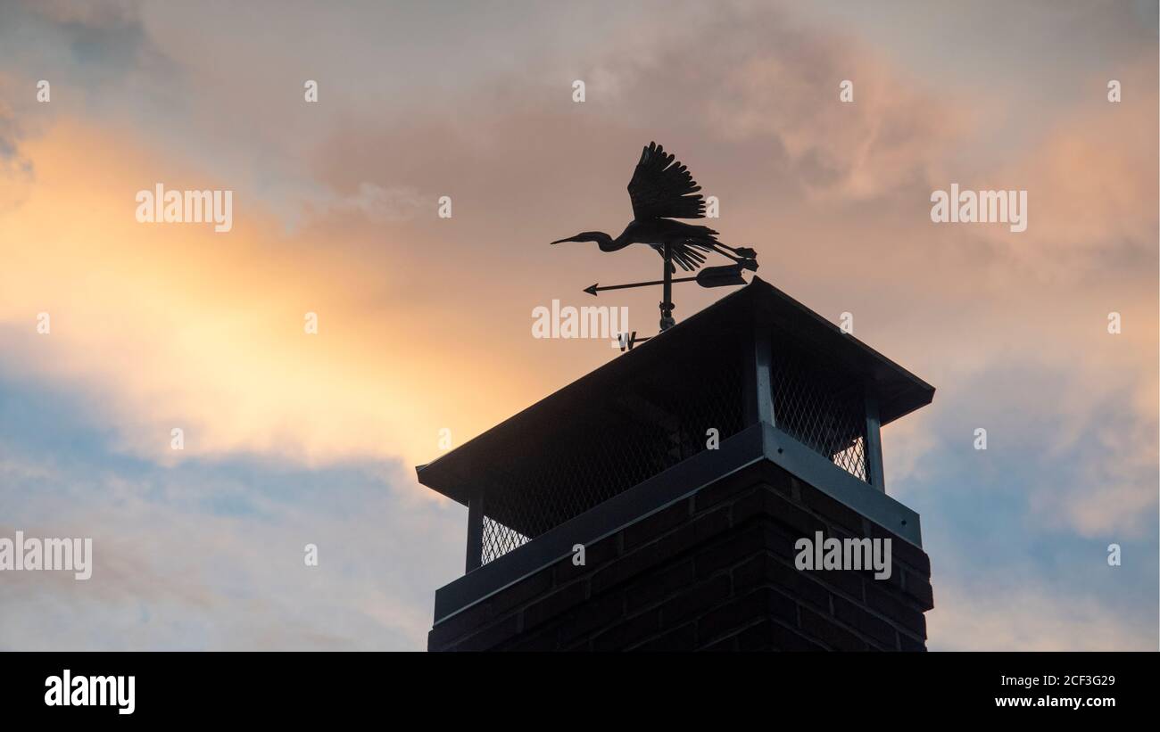 Weathervane sculpture of a great blue heron on a home in St. Mary's County, Maryland. Stock Photo