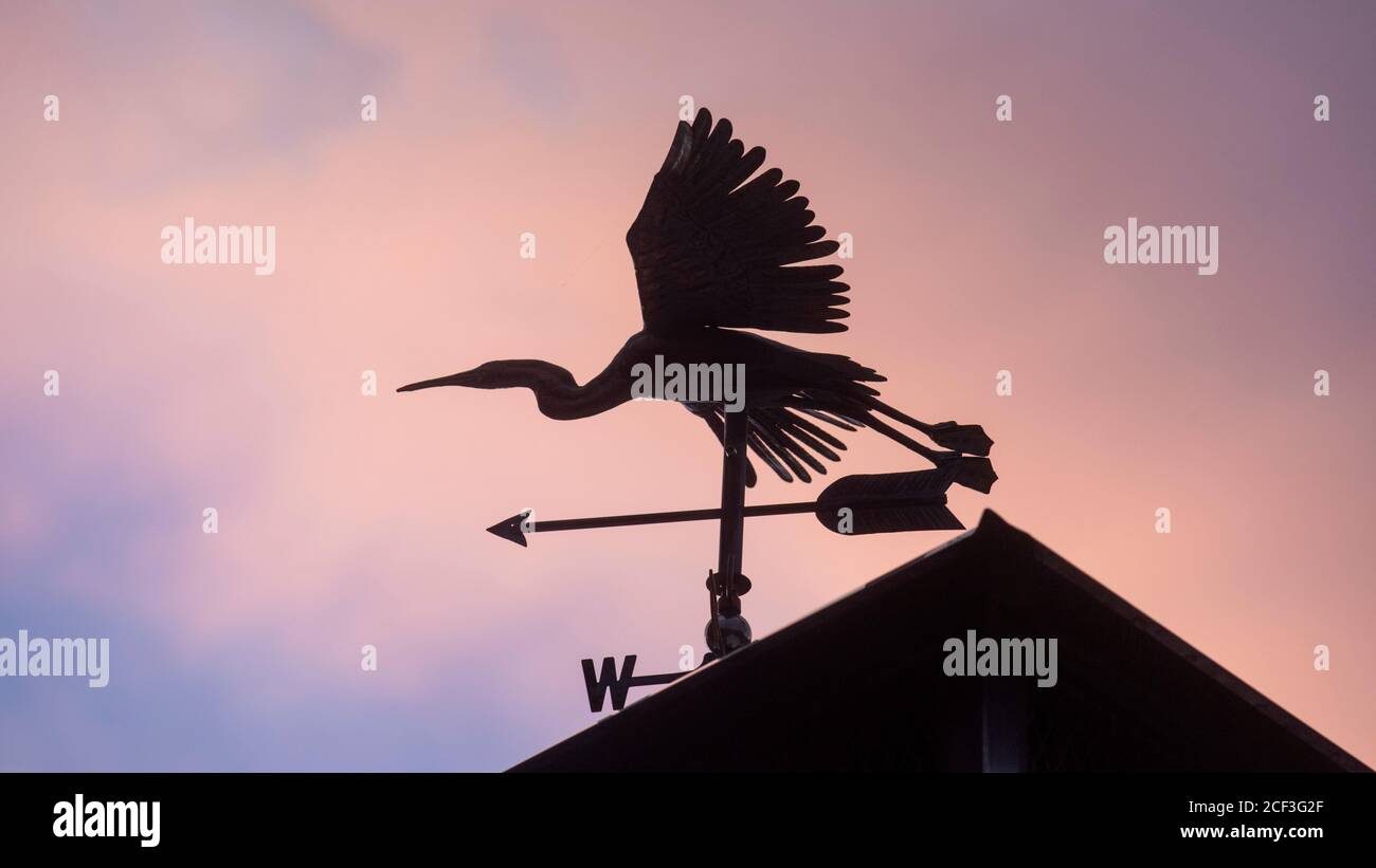 Weathervane sculpture of a great blue heron on a home in St. Mary's County, Maryland. Stock Photo