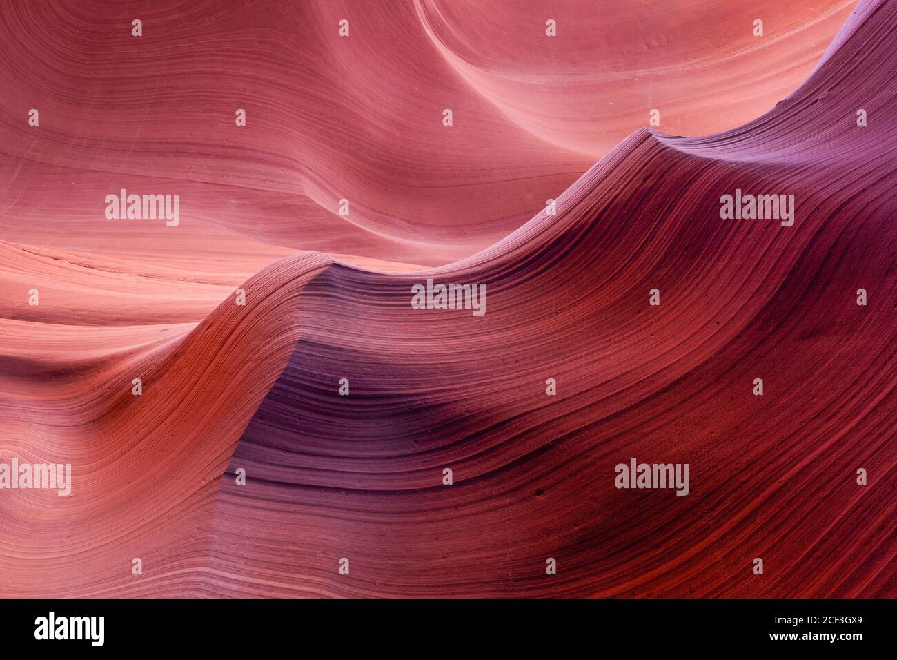 Detail of the water sculpted wall of Lower Antelope Canyon, Navajo Reservation, Page, Arizona Stock Photo