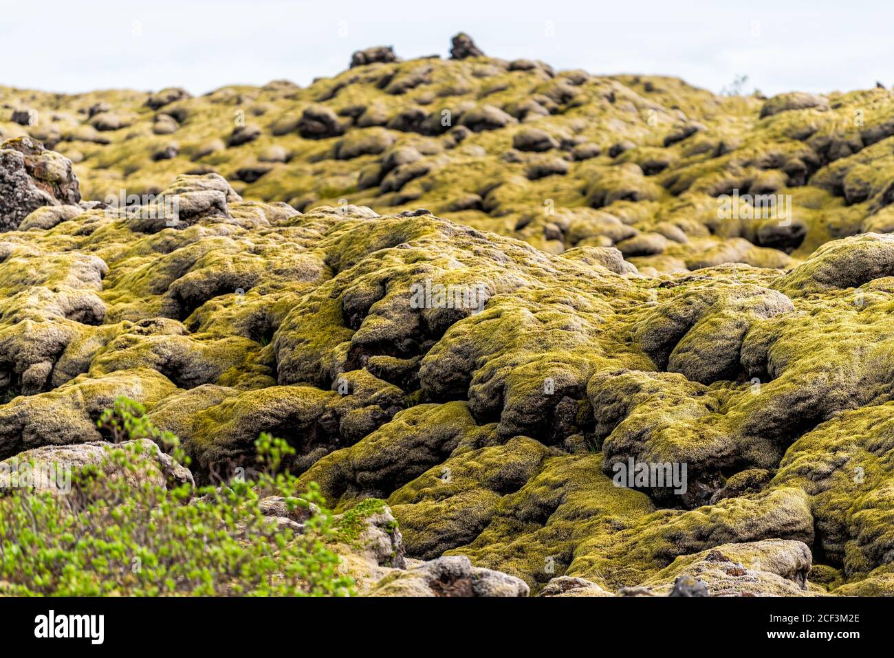 Rock shapes in Iceland yellow green moss covered stones in southern ring road showing pattern and texture Stock Photo