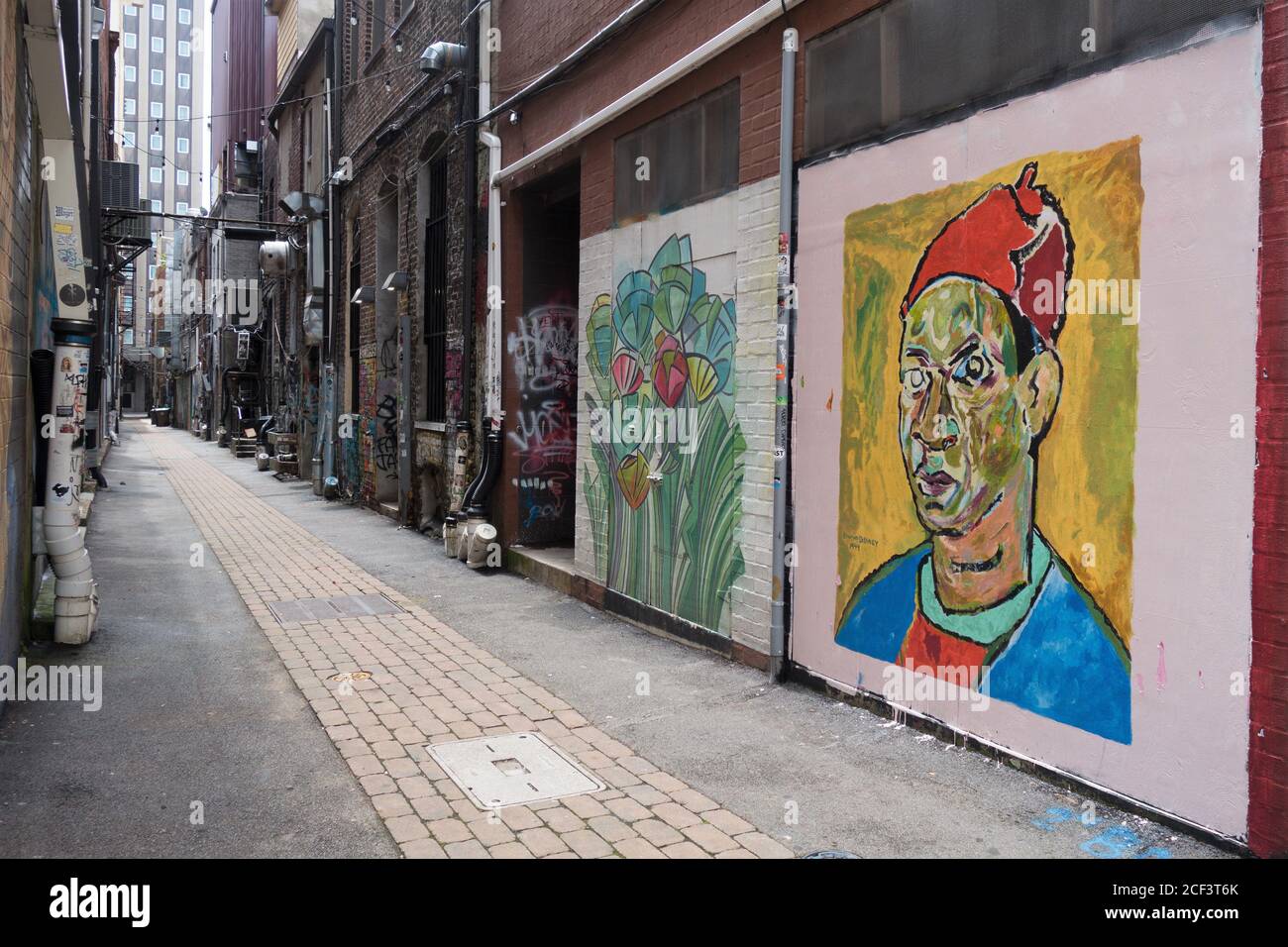 Murals line an alley in downtown Knoxville, Tennessee, USA Stock Photo