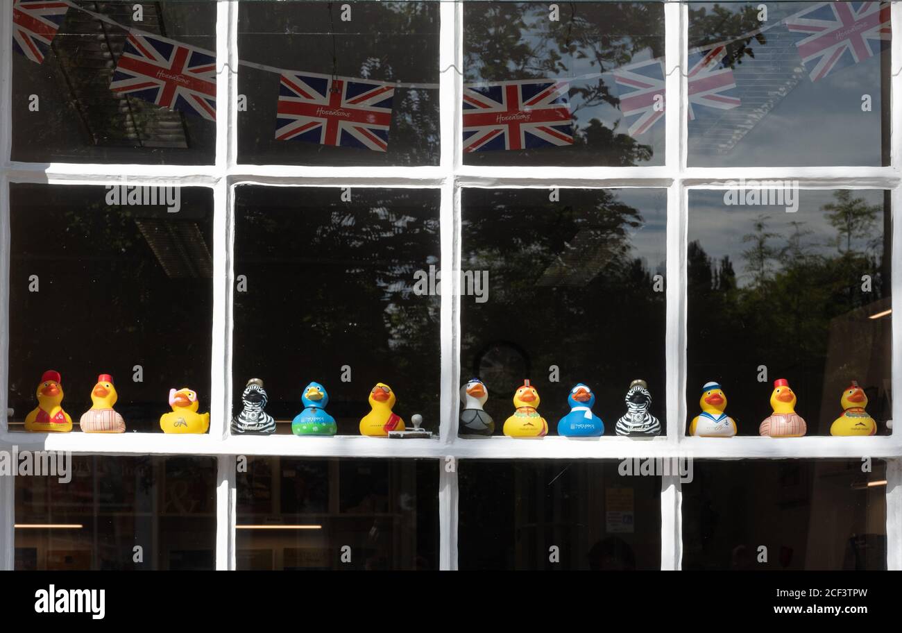Plastic ducks in a row in a shop window Stock Photo