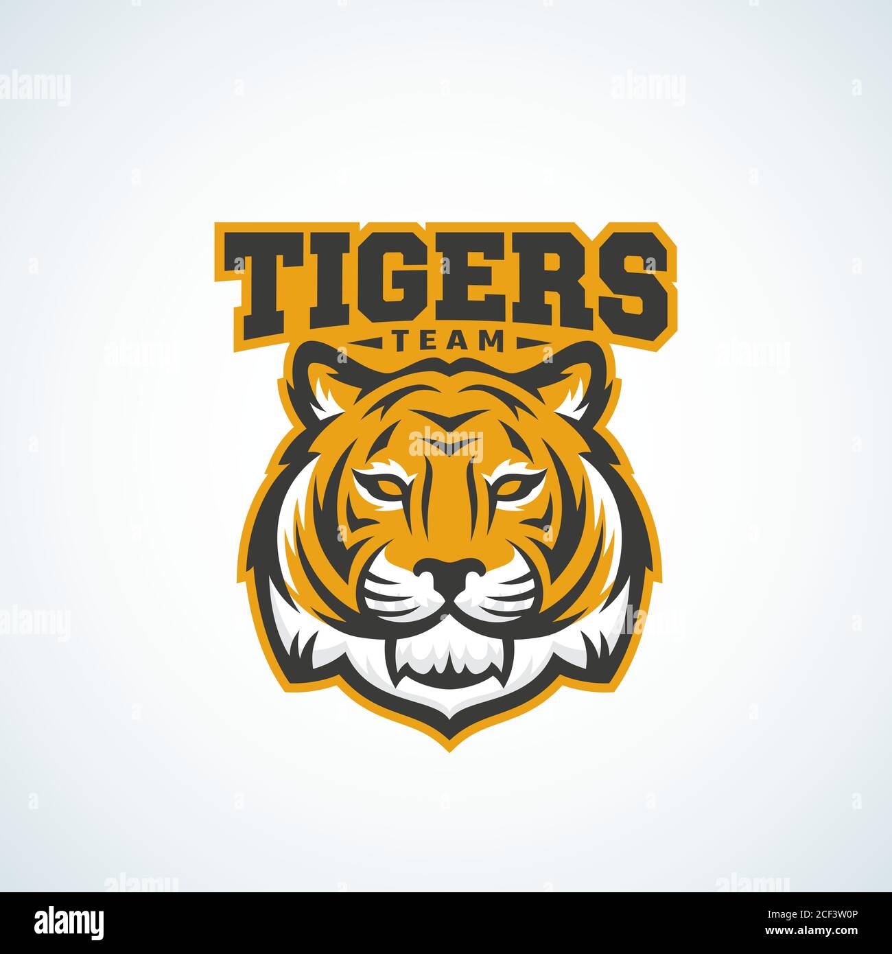 Tiger Team Abstract Vector Sign, Emblem or Logo Template. Classic Sport  Mascot Label. Predator Animal Face with Typography Stock Vector Image & Art  - Alamy