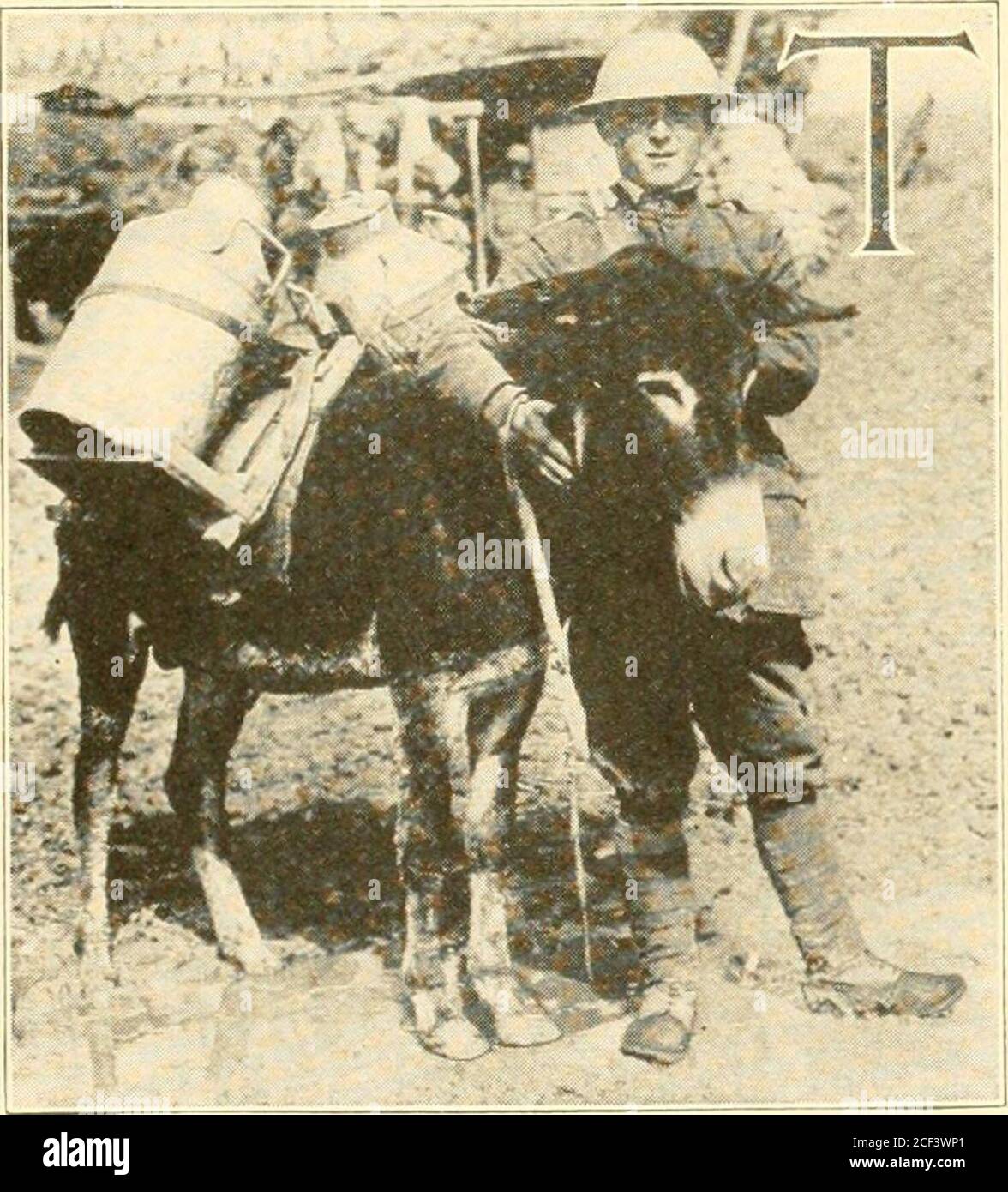 Order 191 95 191 hi-res stock photography and images - Alamy
