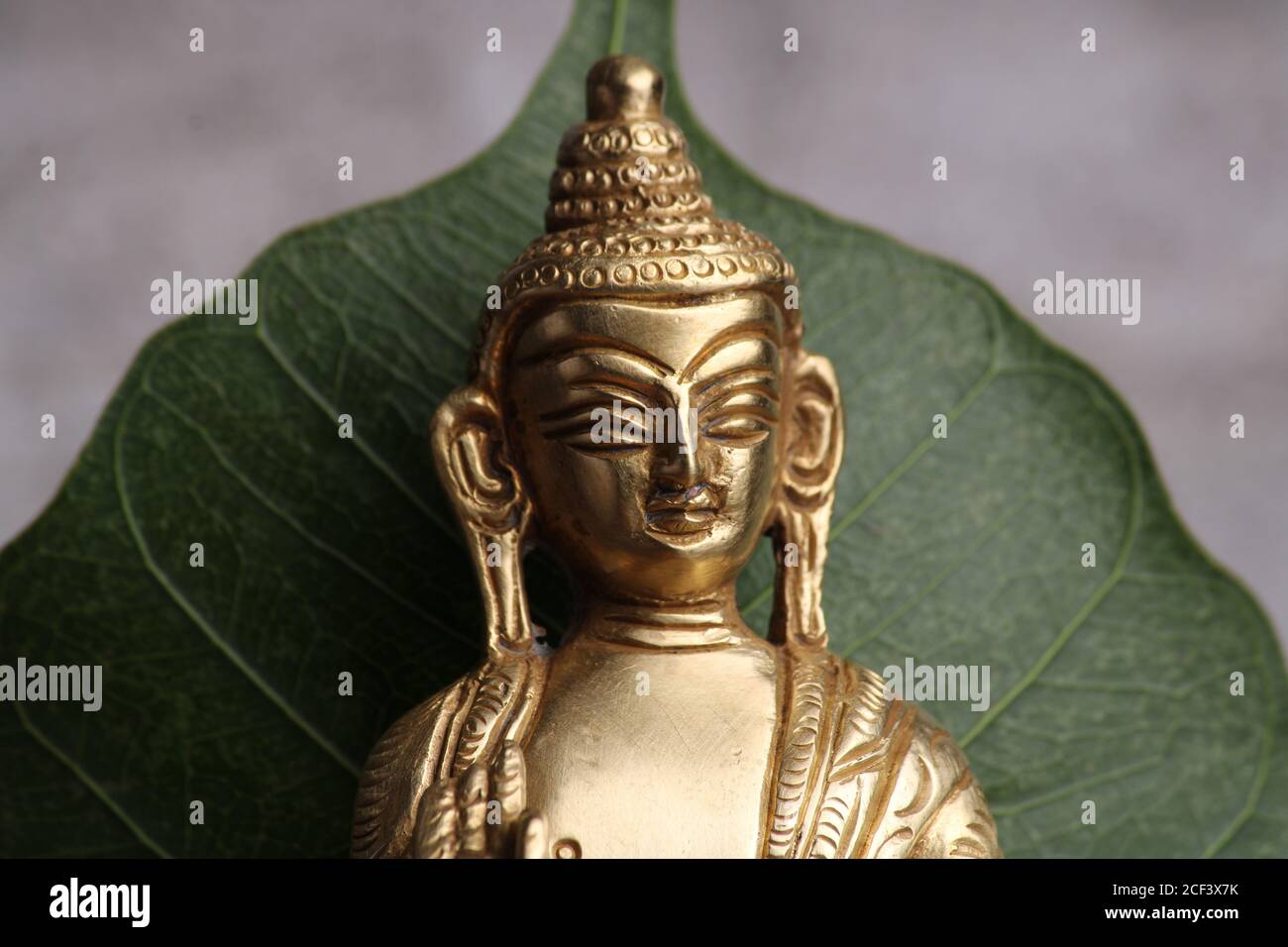 Gautama Buddha statue against the background of the pipal leaf Stock Photo