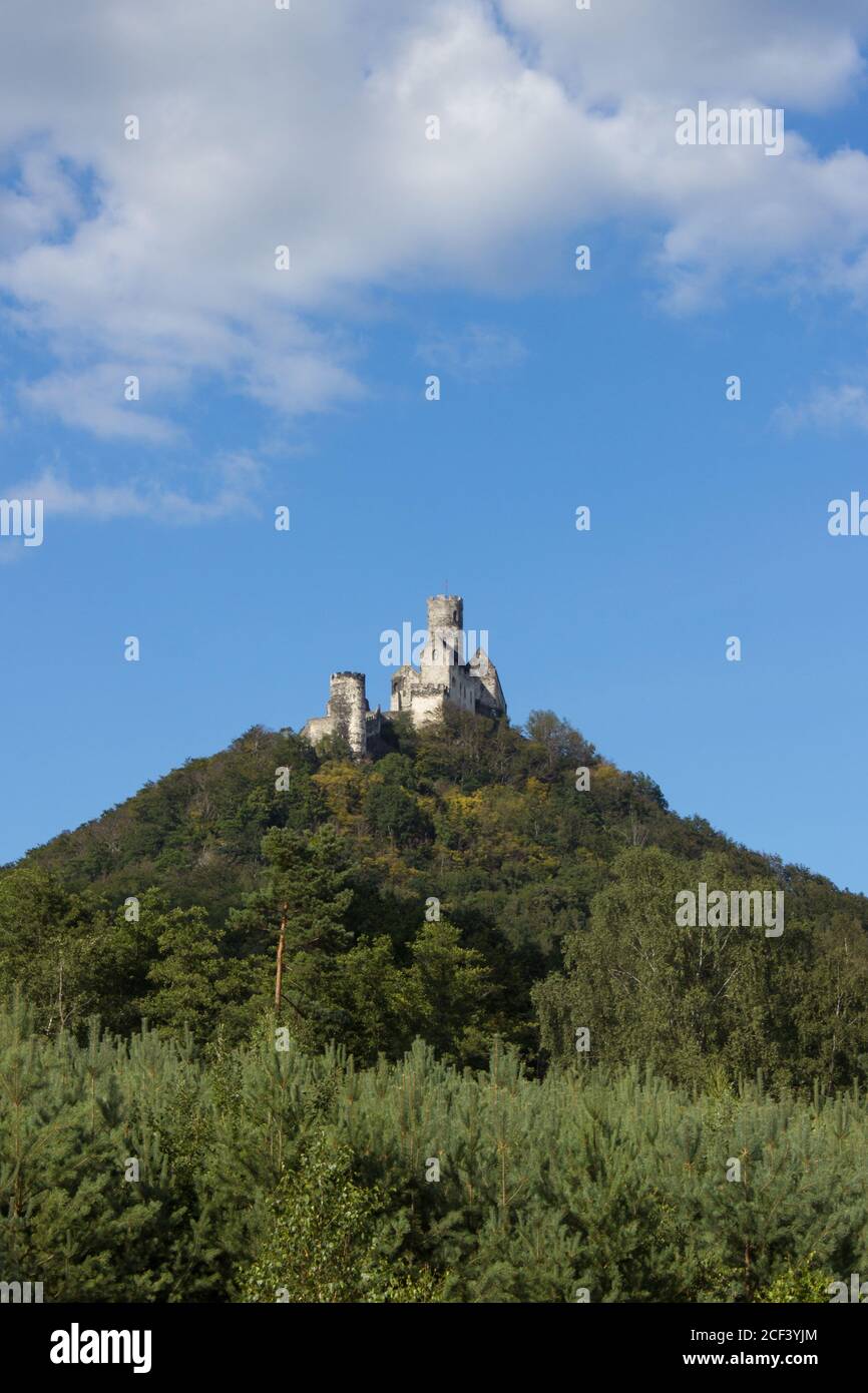 Panoramic view of Bezdez castle in the Czech Republic. In the foreground there are trees, in the background is a hill with castle and there are a whit Stock Photo