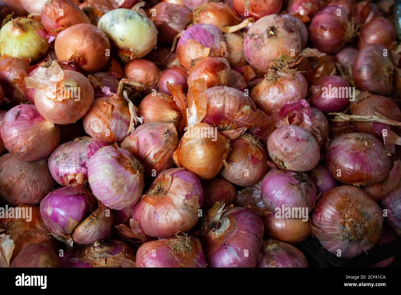 Pile different onion varieties hi-res stock photography and images - Alamy