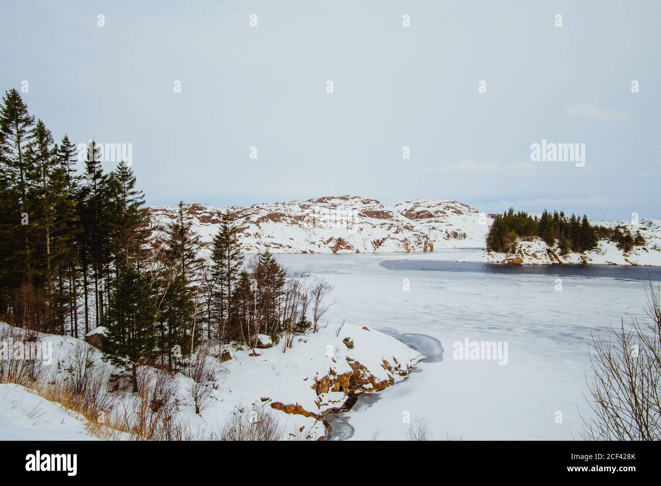 Beautiful snowy forest hi-res stock photography and images - Alamy