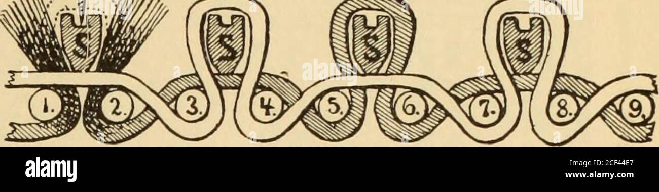 Technology Of Textile Design Being A Practical Treatise On The Construction And Application Of Weaves For All Textile Fabrics With Minute Reference To The Latest Inventions For Weaving Containing Also An