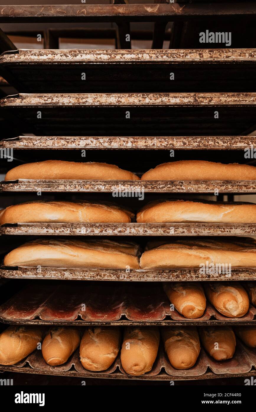 Loafs of yummy fresh bread and buns placed on metal trays on rack in ...