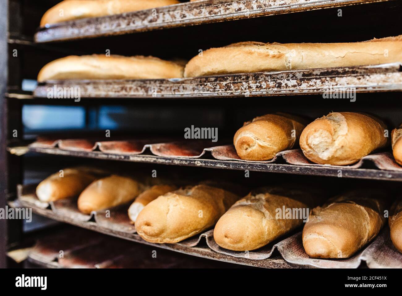 Loafs of yummy fresh bread and buns placed on metal trays on rack in ...