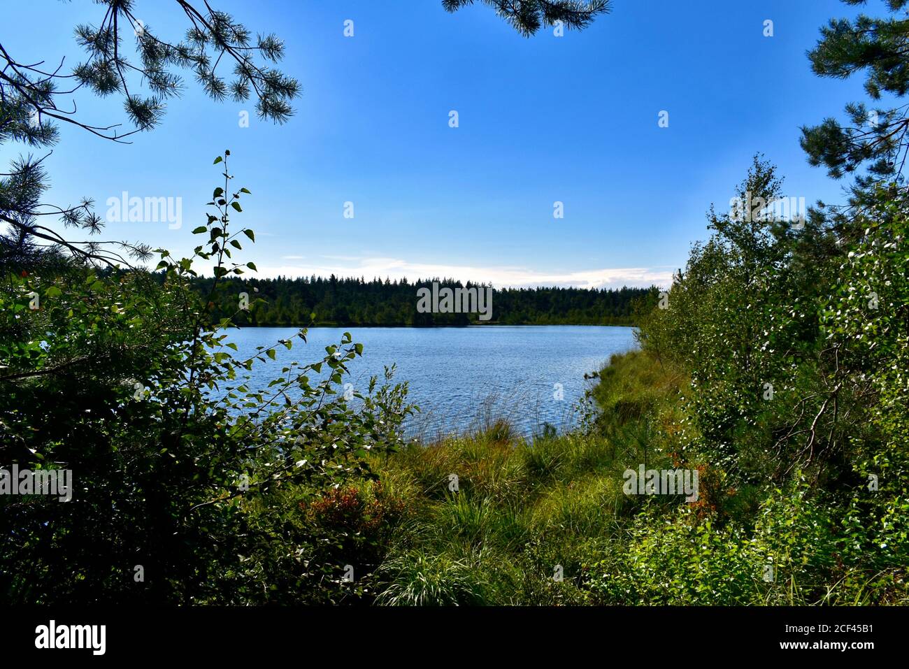 Grundloses Moor and Grundloser See Stock Photo