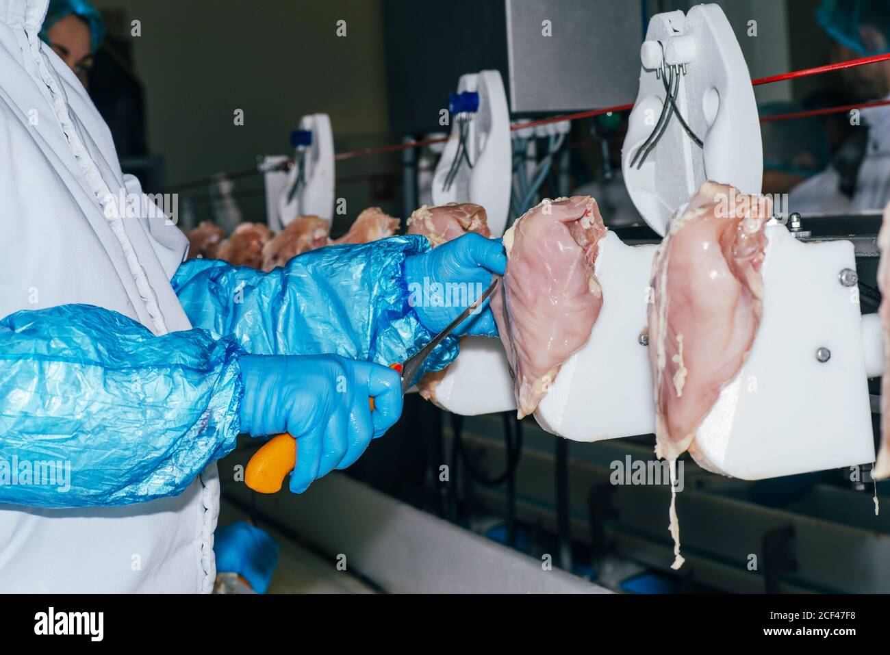 Food industry detail with poultry meat processing.Factory for the