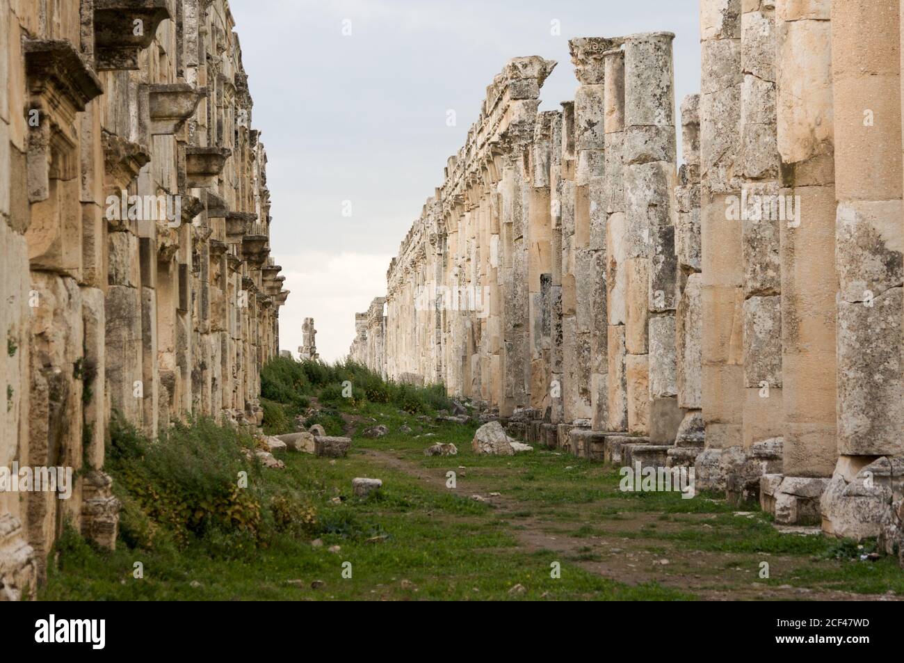 Apamea Syria, ancient ruins with famous colonnade before damage in the war  Stock Photo - Alamy